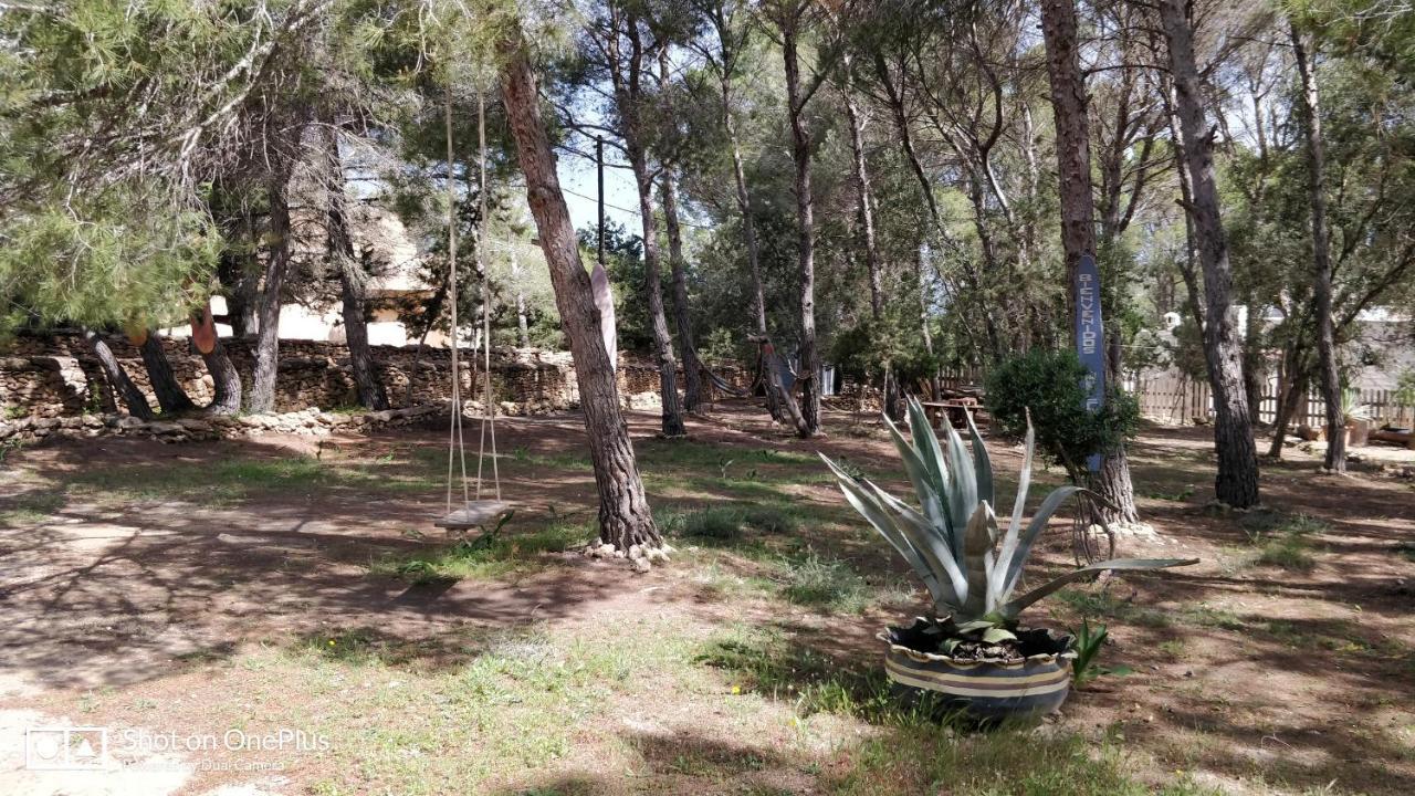 Casa Beja Villa San Francisco Javier ภายนอก รูปภาพ